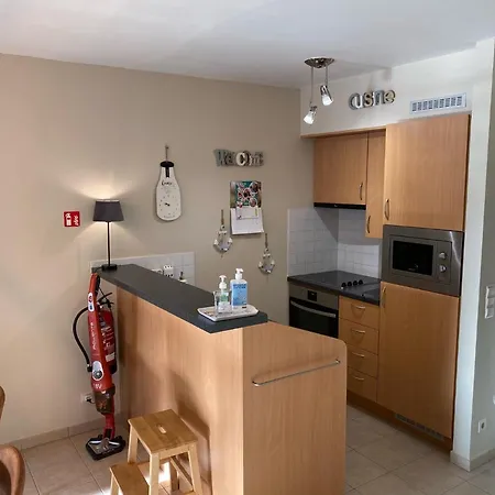 公寓 Des Ambassadeurs *