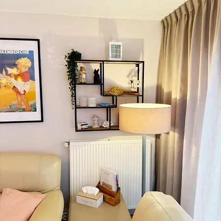 Des Ambassadeurs Apartment Blankenberge